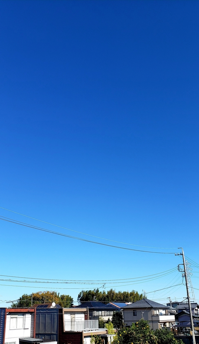 f:id:kurakkaa:20201124121935j:plain