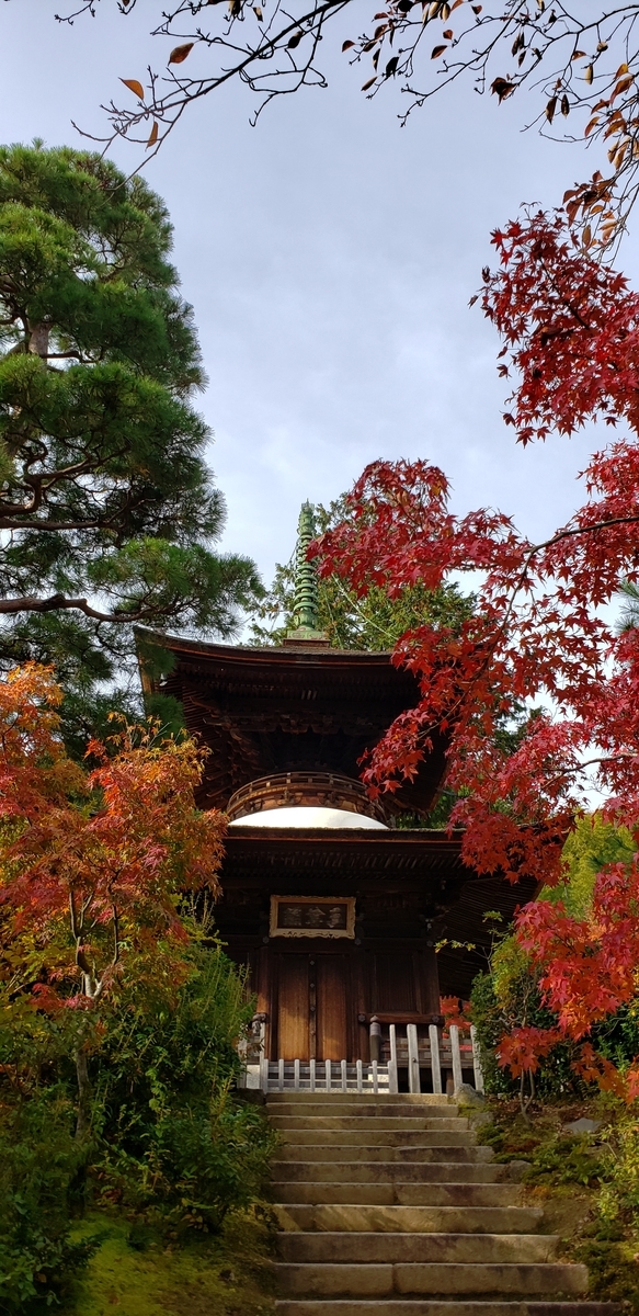 f:id:kurakkaa:20201124130104j:plain