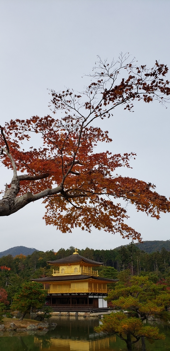 f:id:kurakkaa:20201124130324j:plain