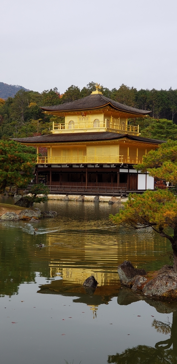 f:id:kurakkaa:20201124130414j:plain