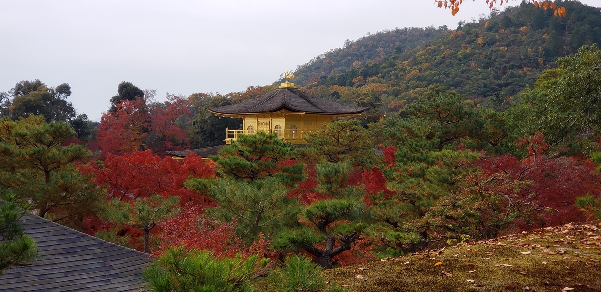 f:id:kurakkaa:20201124130458j:plain