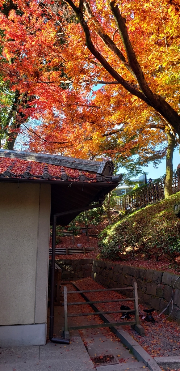 f:id:kurakkaa:20201124131106j:plain