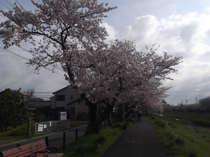 f:id:kurako813:20140401081725j:image