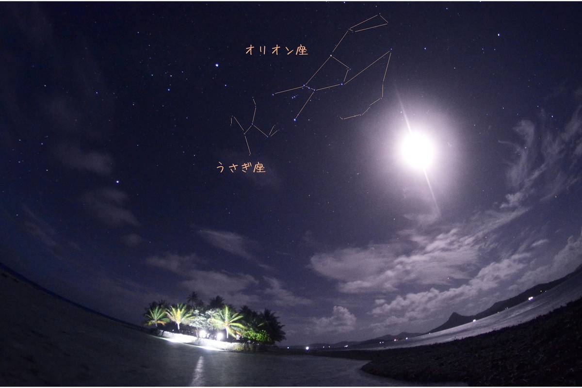 f:id:kurakurakurarin1991:20190530185904j:plain f:id:kurakurakurarin1991:20190530185904j:plain