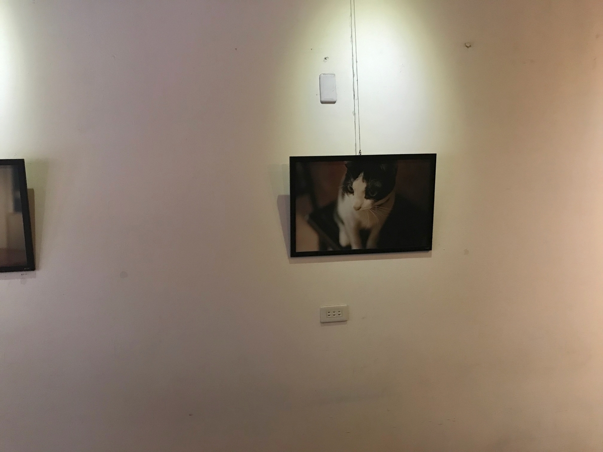 f:id:kuramae-taiwan:20191003174648j:plain f:id:kuramae-taiwan:20191003174648j:plain