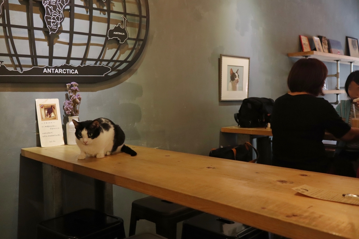 f:id:kuramae-taiwan:20191003174934j:plain f:id:kuramae-taiwan:20191003174934j:plain