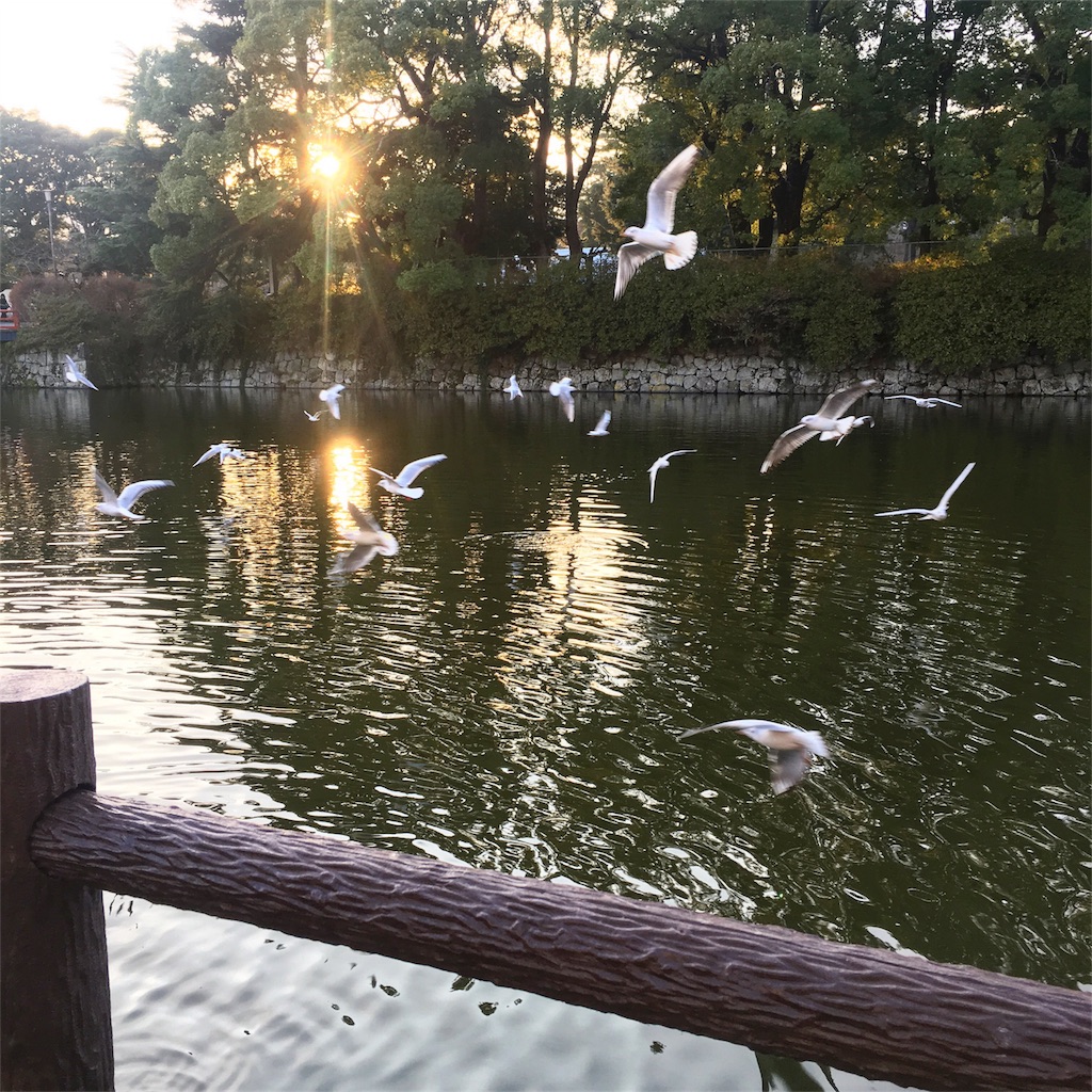 f:id:kuraruk:20171206221858j:image f:id:kuraruk:20171206221858j:image