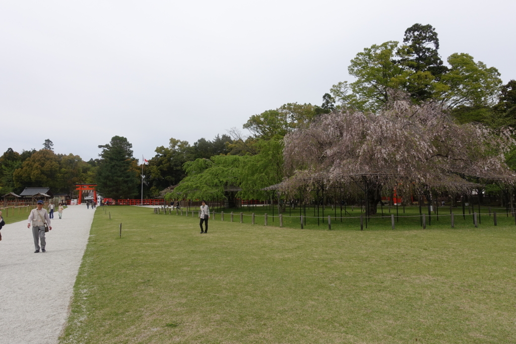 f:id:kurasesu:20170616202926j:plain f:id:kurasesu:20170616202926j:plain