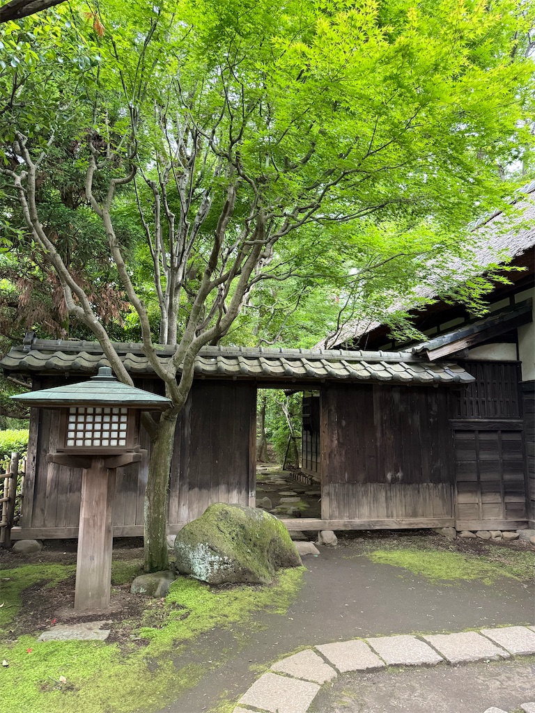 f:id:kurashi-brain:20250608144016j:image