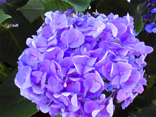 f:id:kurashi-brain:20250623121954j:image
