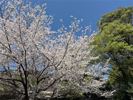 f:id:kurashi-brain:20260406121004j:image