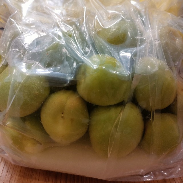 f:id:kurashi-no-memo:20240601223025j:image