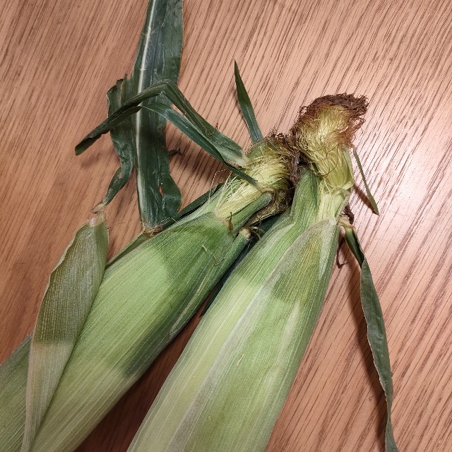 f:id:kurashi-no-memo:20240618065927j:image