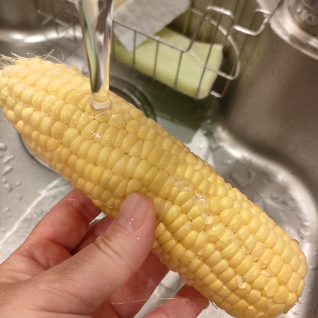 f:id:kurashi-no-memo:20240618070422j:image f:id:kurashi-no-memo:20240618070422j:image