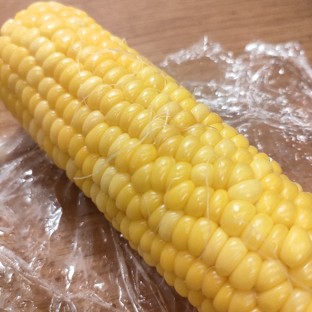 f:id:kurashi-no-memo:20240618071706j:image