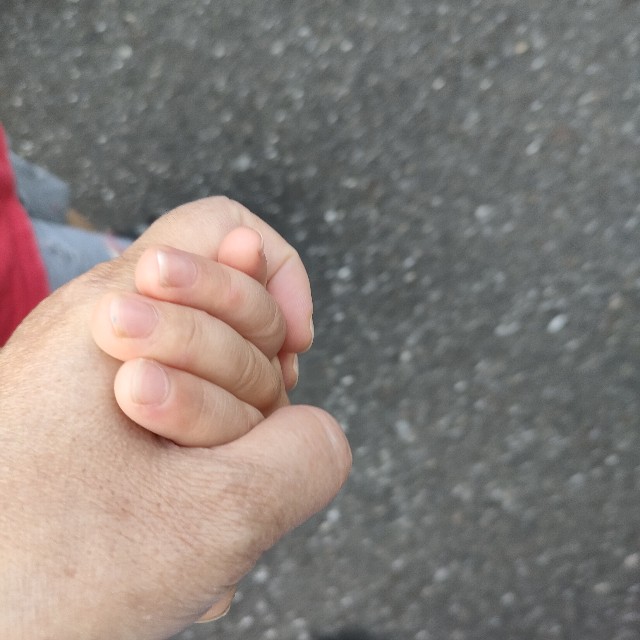 f:id:kurashi-no-memo:20241001070934j:image