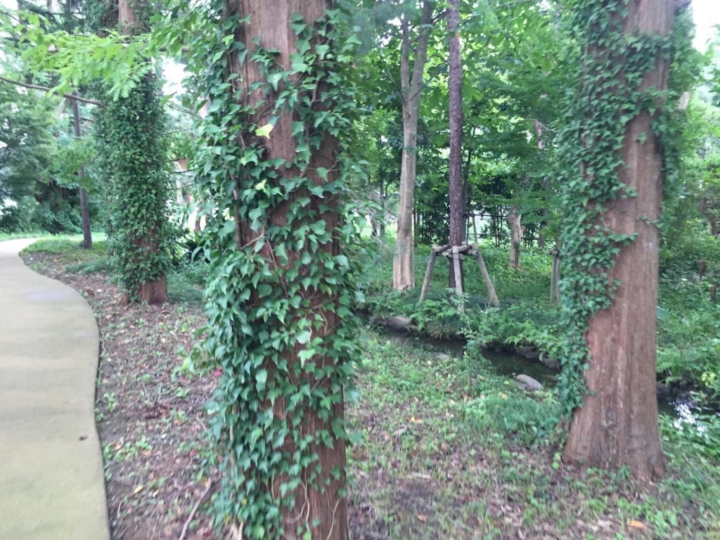 f:id:kurashi_chie:20160905000005j:plain