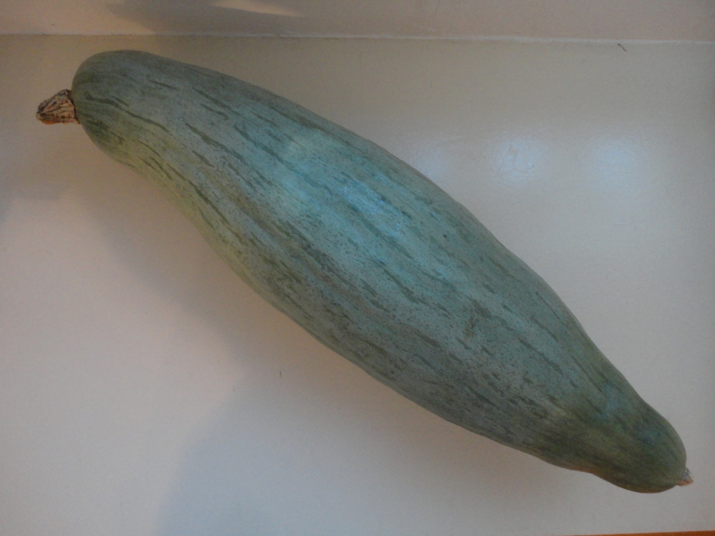 f:id:kurashi_chie:20160905052957j:plain