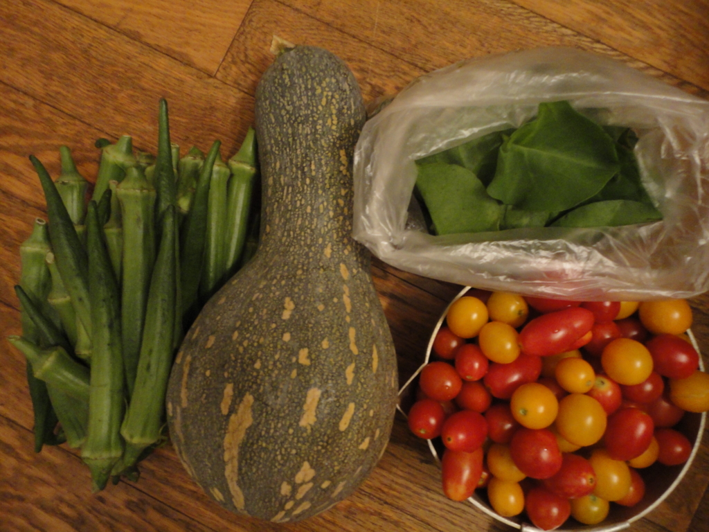 f:id:kurashi_chie:20160905211011j:plain f:id:kurashi_chie:20160905211011j:plain