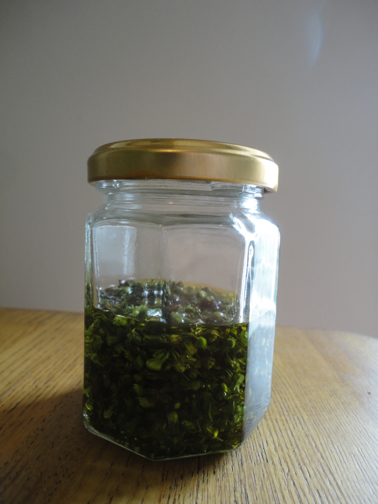 f:id:kurashi_chie:20161017205904j:plain f:id:kurashi_chie:20161017205904j:plain