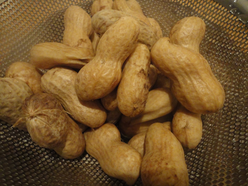 f:id:kurashi_chie:20161022200909j:plain