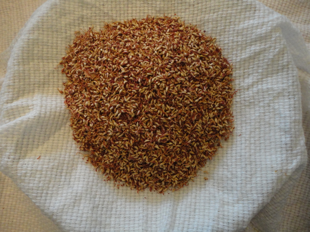 f:id:kurashi_chie:20170108193408j:plain f:id:kurashi_chie:20170108193408j:plain