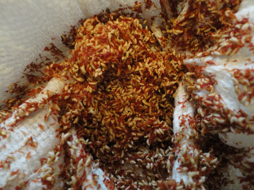 f:id:kurashi_chie:20170108193947j:plain f:id:kurashi_chie:20170108193947j:plain