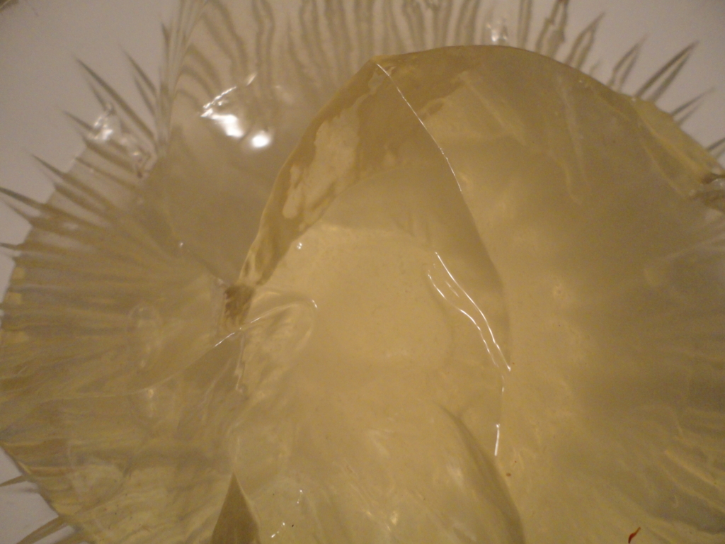 f:id:kurashi_chie:20170108194420j:plain f:id:kurashi_chie:20170108194420j:plain