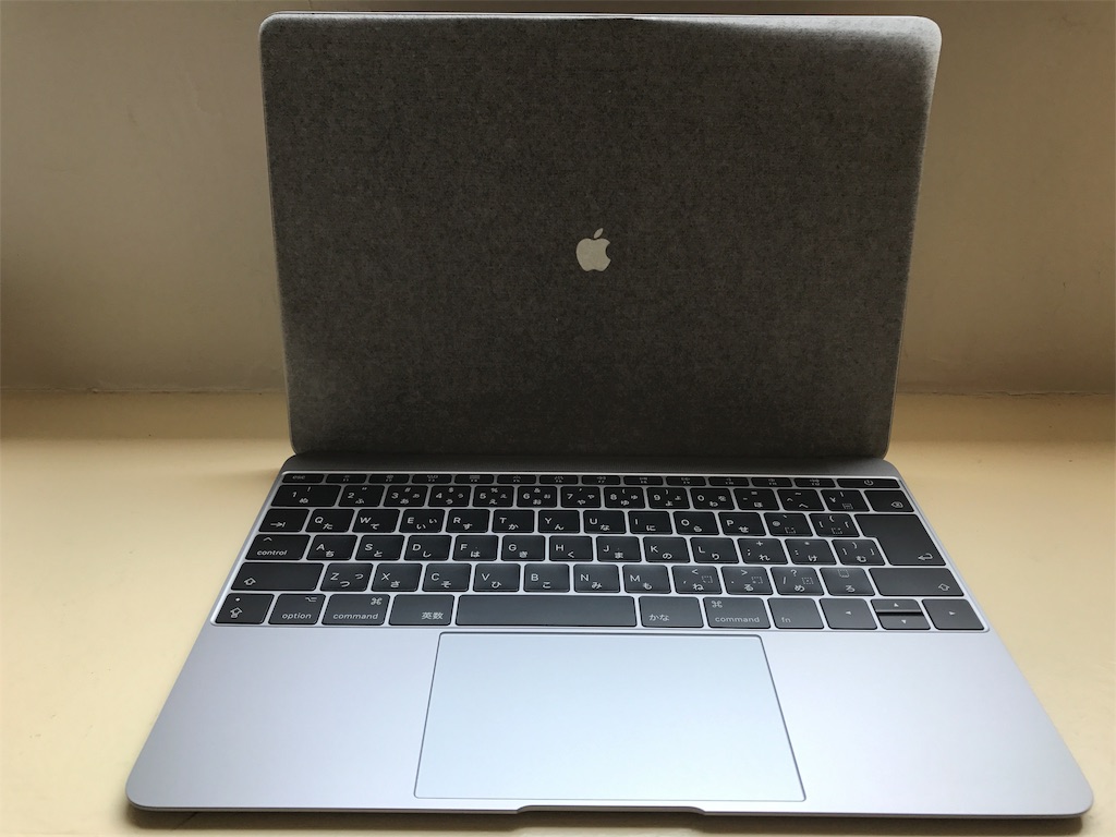 f:id:kurashi_chie:20170616065416j:image