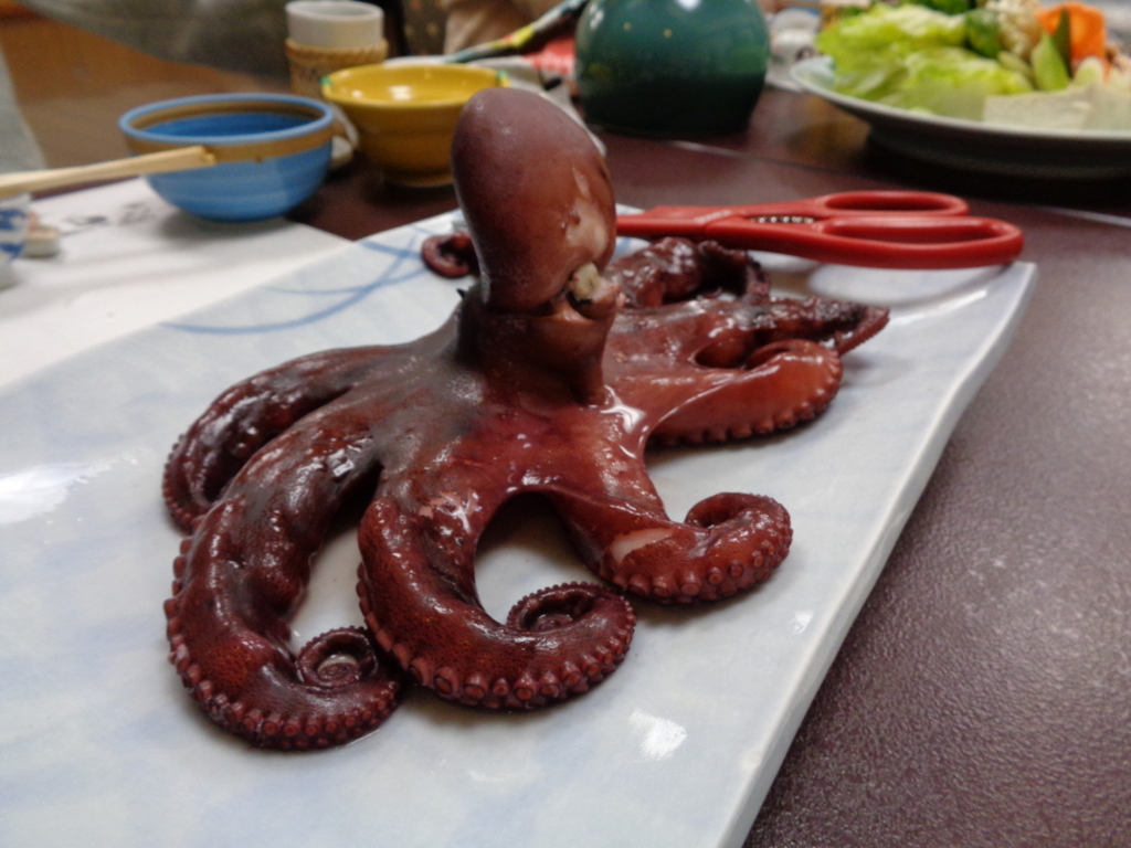 f:id:kurashi_chie:20180114081706j:plain