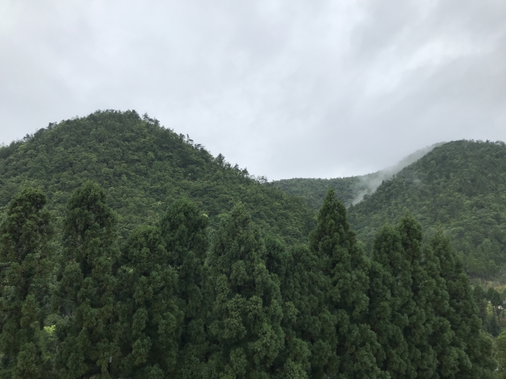 f:id:kurashi_chie:20180707074051j:plain f:id:kurashi_chie:20180707074051j:plain