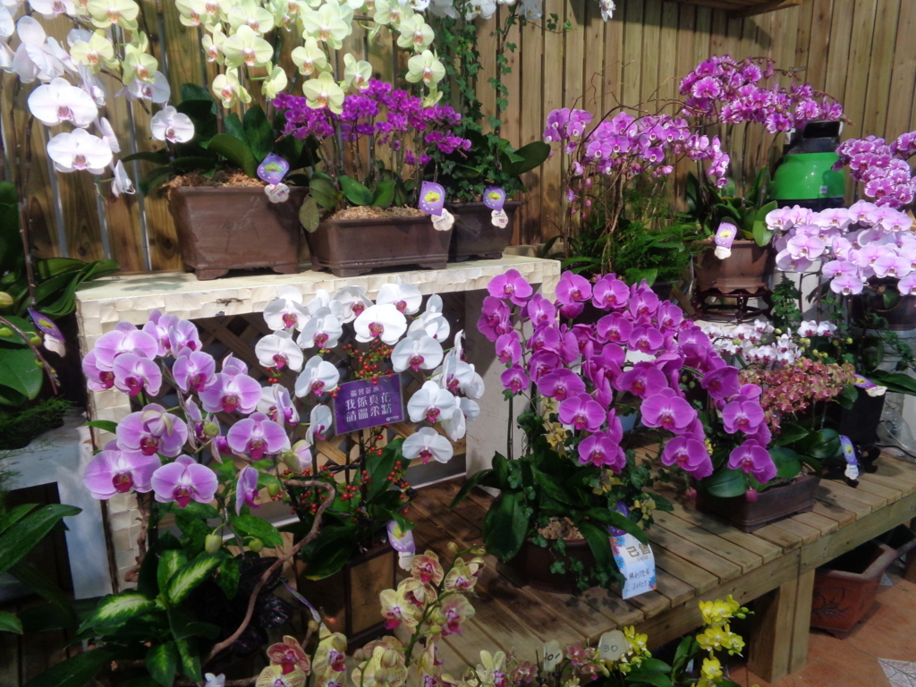 f:id:kurashi_chie:20180722090039j:plain