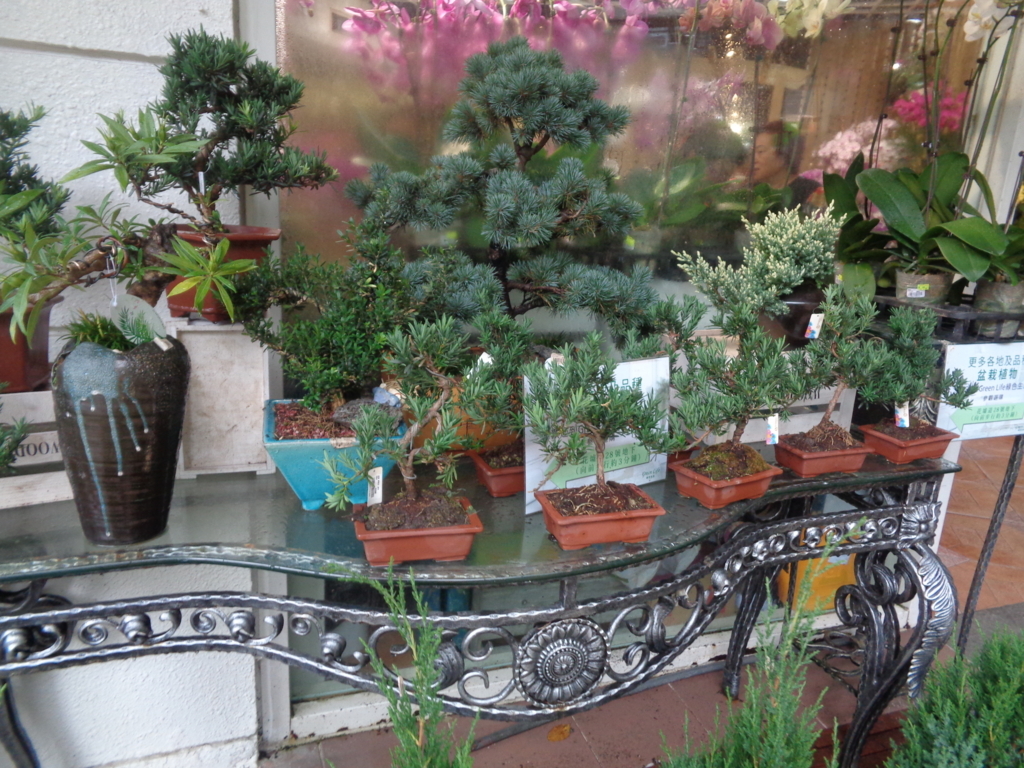 f:id:kurashi_chie:20180722090129j:plain