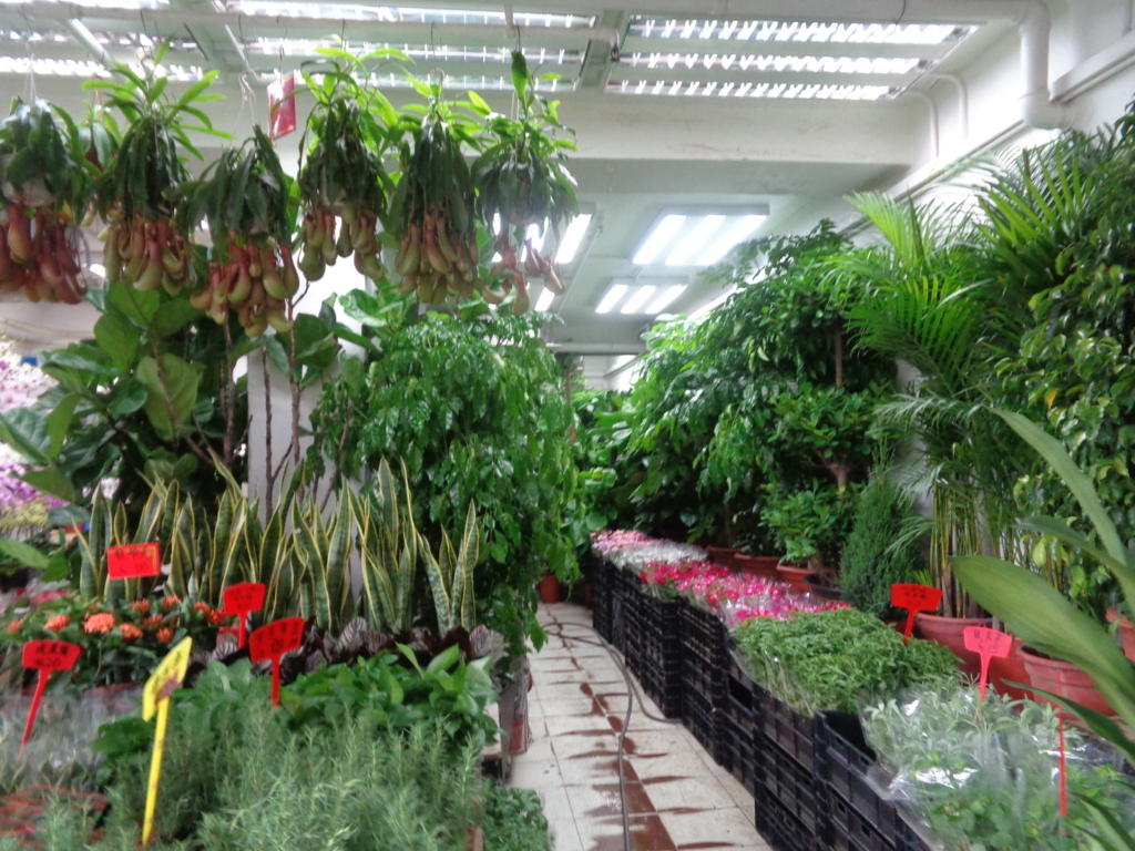 f:id:kurashi_chie:20180722090257j:plain