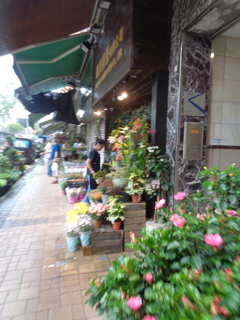 f:id:kurashi_chie:20180722090405j:plain