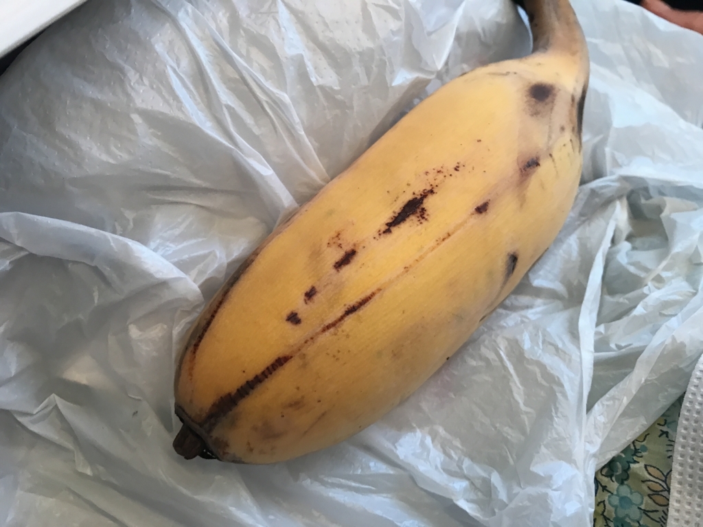 f:id:kurashi_chie:20180731092536j:plain