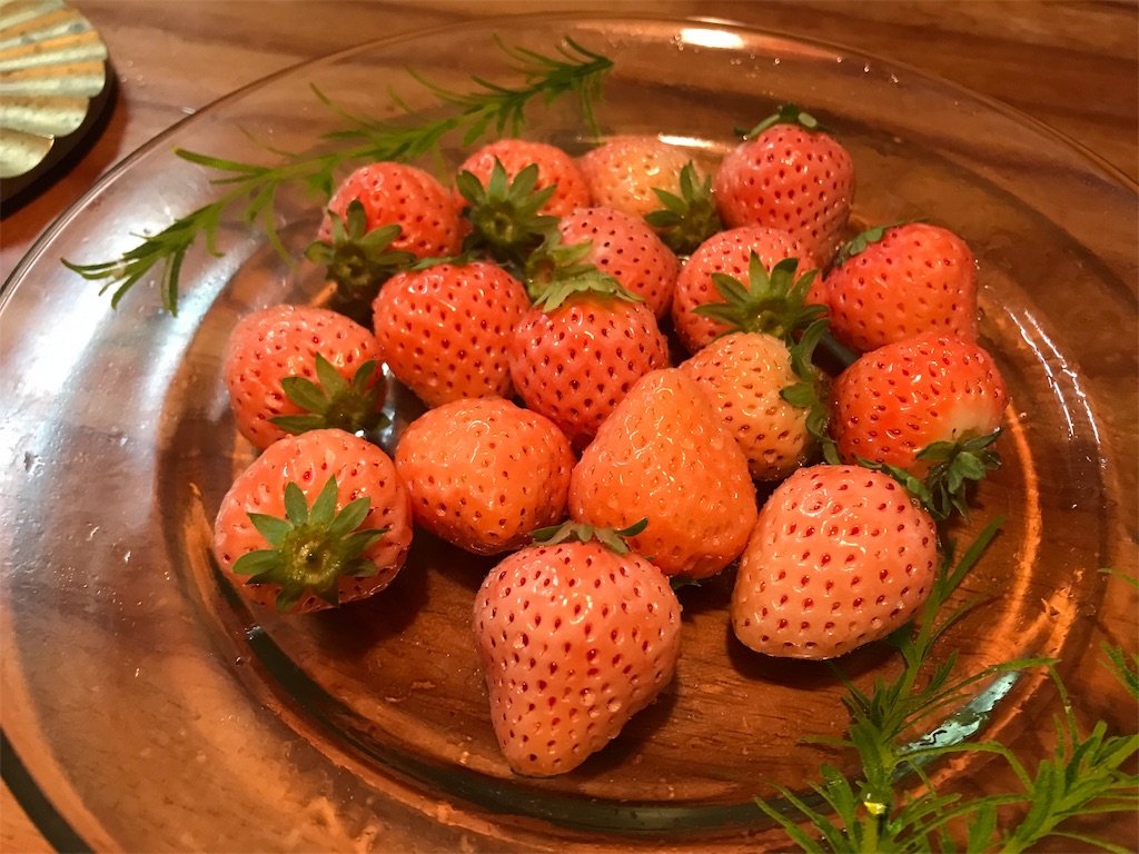 f:id:kurashi_chie:20190315094811j:image