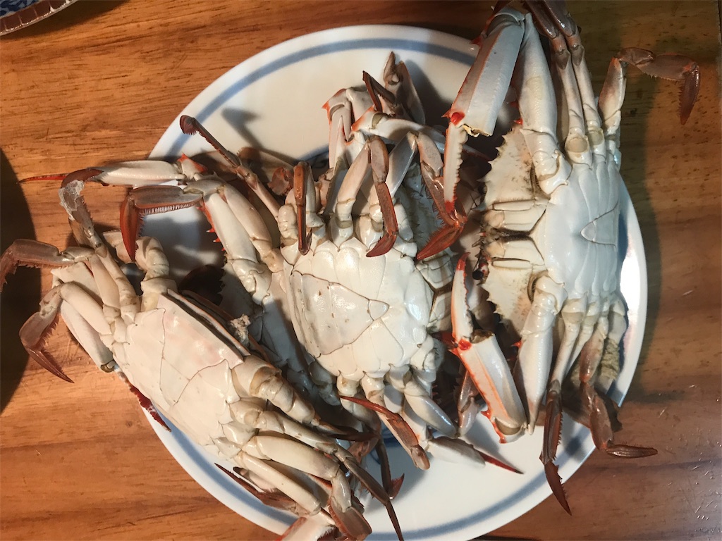 f:id:kurashi_chie:20190811163109j:image