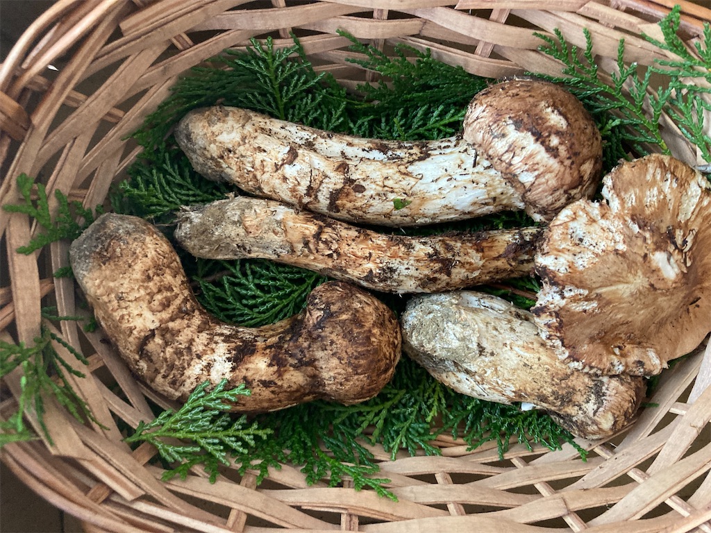 f:id:kurashi_chie:20210929165610j:image