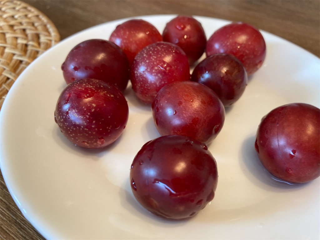 f:id:kurashi_chie:20240807103009j:image