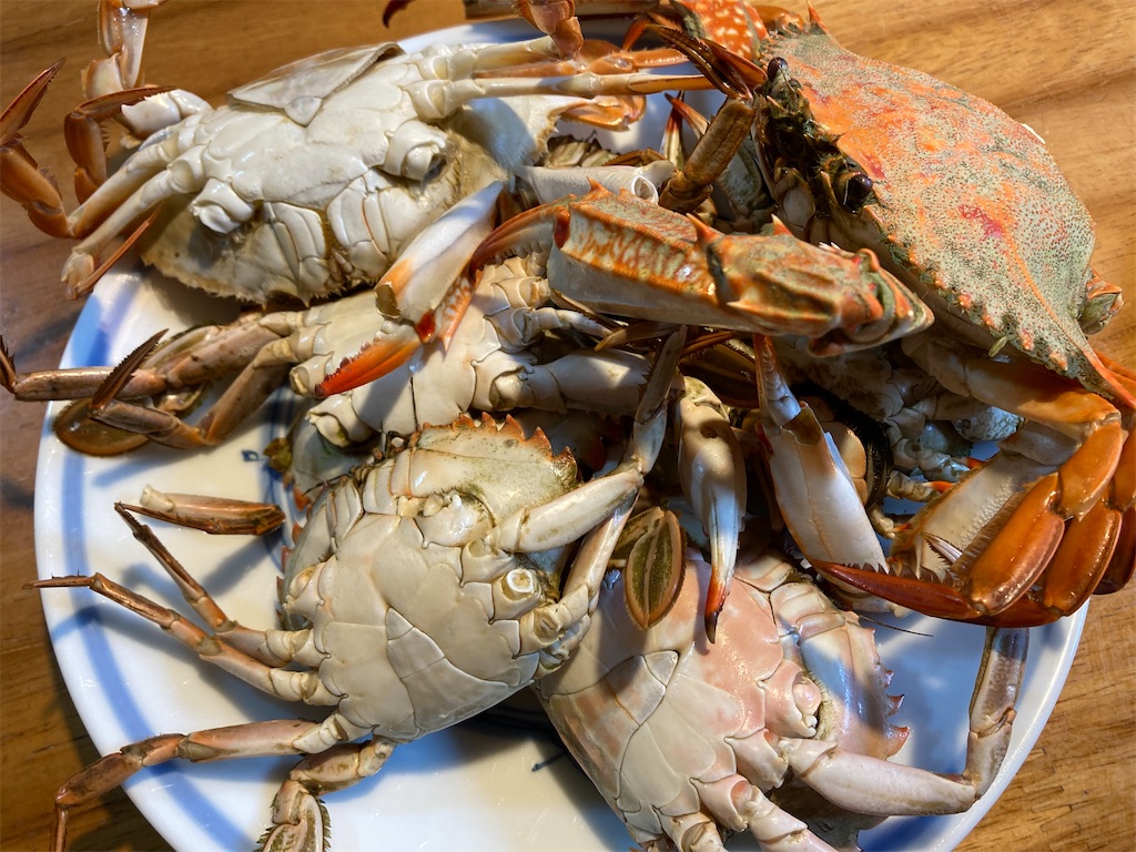 f:id:kurashi_chie:20250916163824j:image