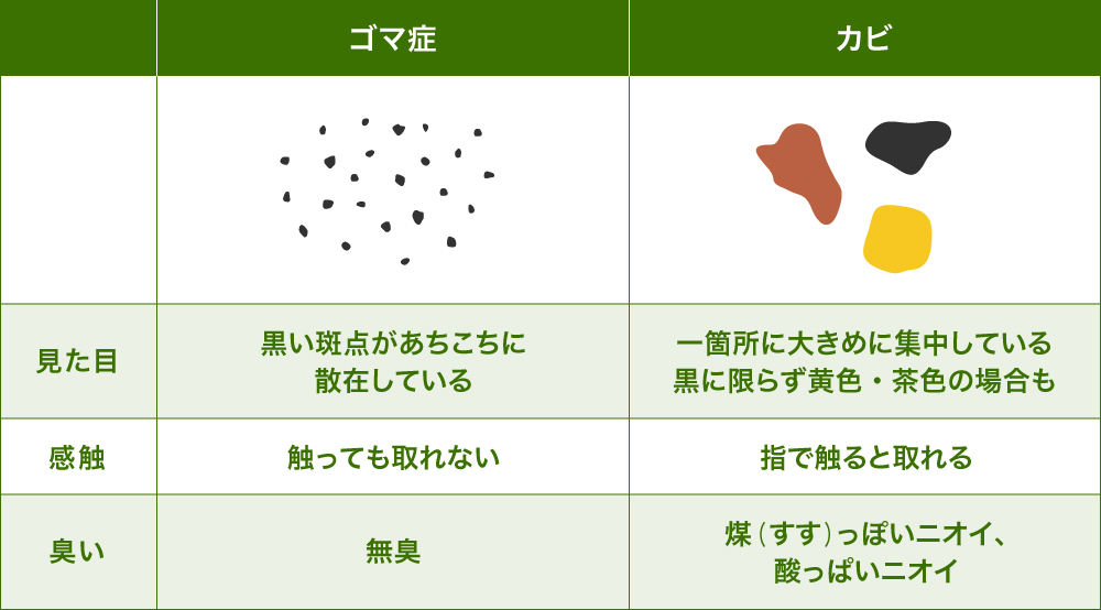 ゴマ症とカビの見分け方