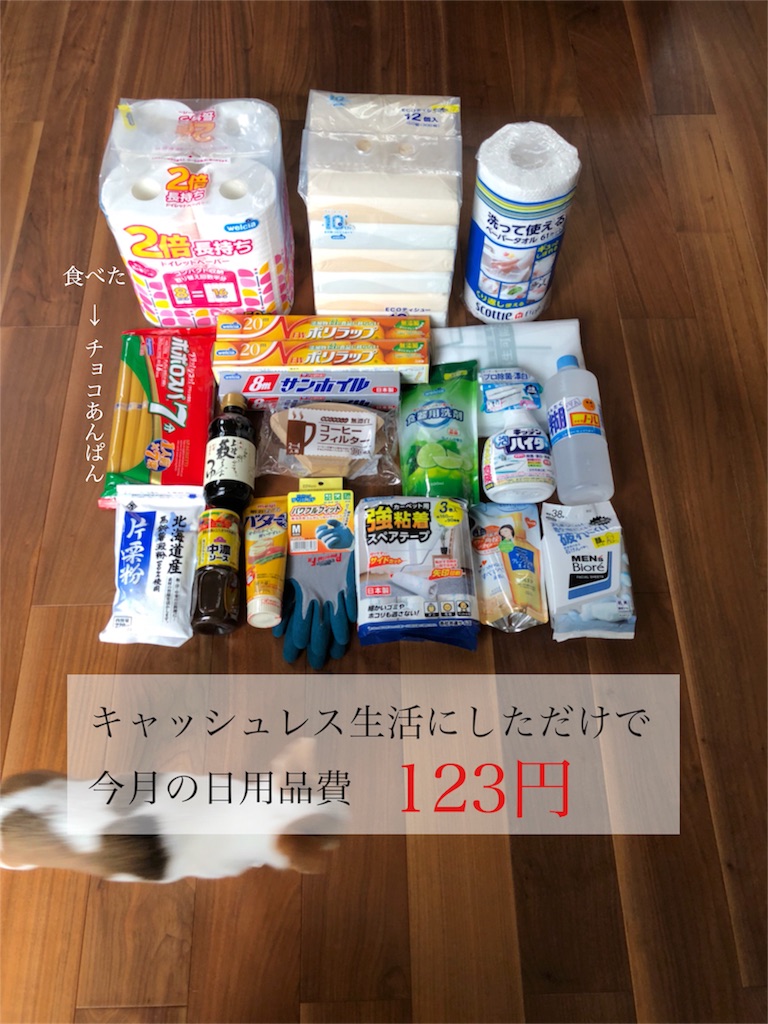 f:id:kurashigotosodate:20190321120511j:image