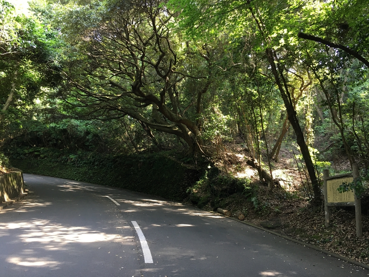 f:id:kurashiisland:20210704210239j:plain