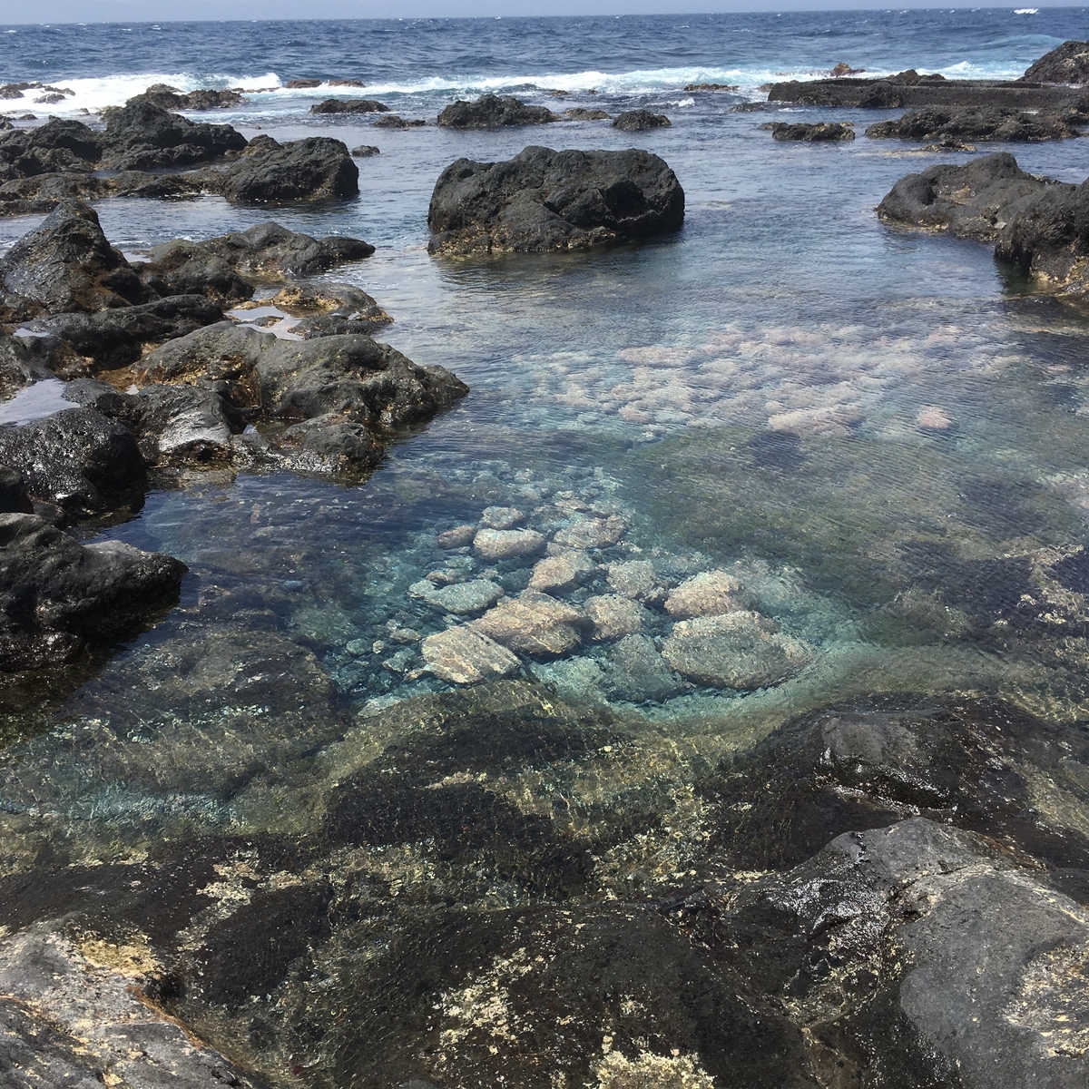 f:id:kurashiisland:20210711213513j:plain