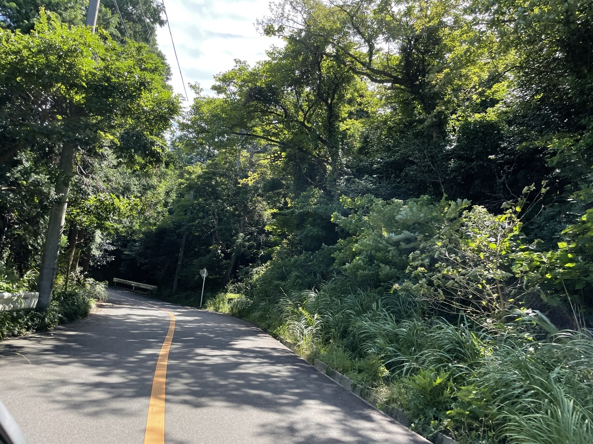 f:id:kurashiisland:20210815201528j:plain