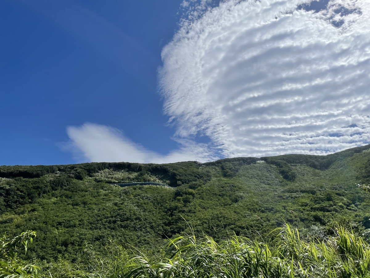 f:id:kurashiisland:20210815202354j:plain
