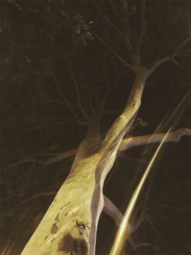 f:id:kurashinonakade:20220211102453j:image