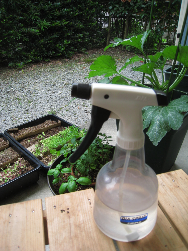 乳酸菌スプレー