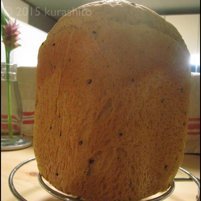 全粒粉が多くてもふくらんだ、乳酸菌入りのパン 全粒粉が多くてもふくらんだ、乳酸菌入りのパン